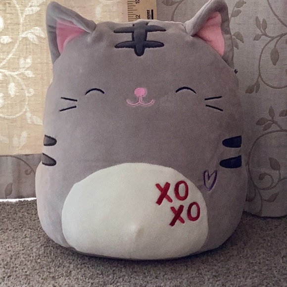 Carson the grey tabby cat with xoxo - Picture 2 of 2